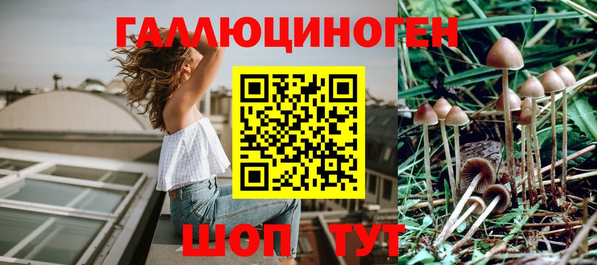 Осинники  купить   Вход с VPN  Псилоцибиновые грибы MAGIC MUSHROOMS 