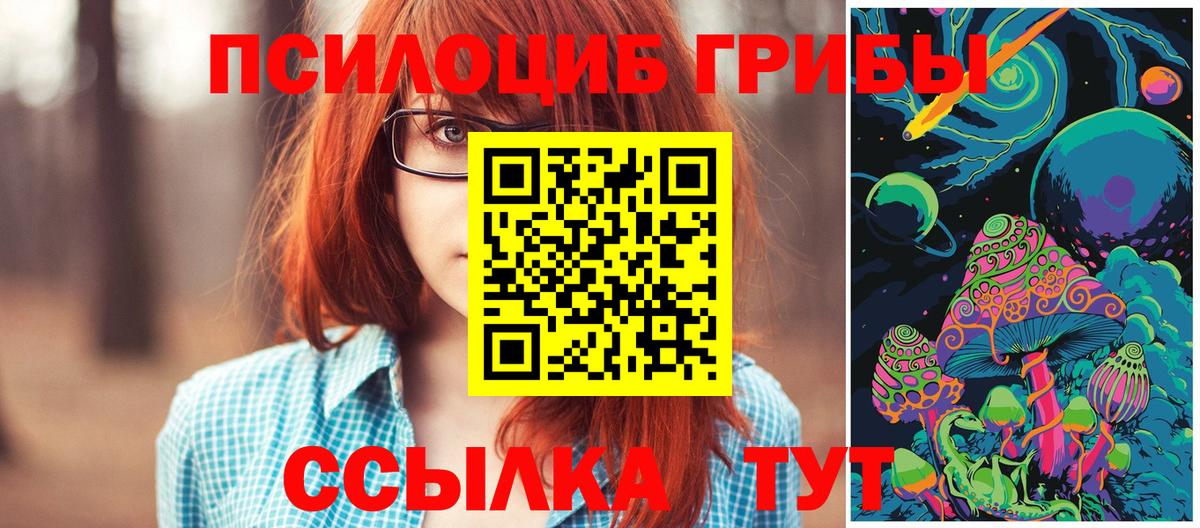 Галлюциногенные грибы MAGIC MUSHROOMS Осинники
